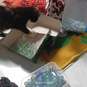 Gundu Kelereng Belimbing (isi 100)