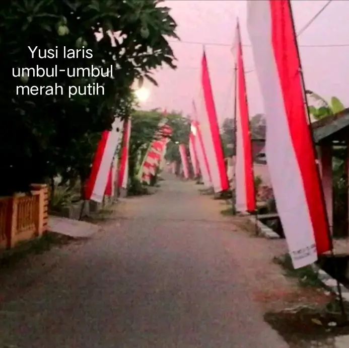 umbul-umbul merah putih, Umbul-umbul zig zag, umbul-umbul ,bendera merah putih, bendera, bendera Indonesia