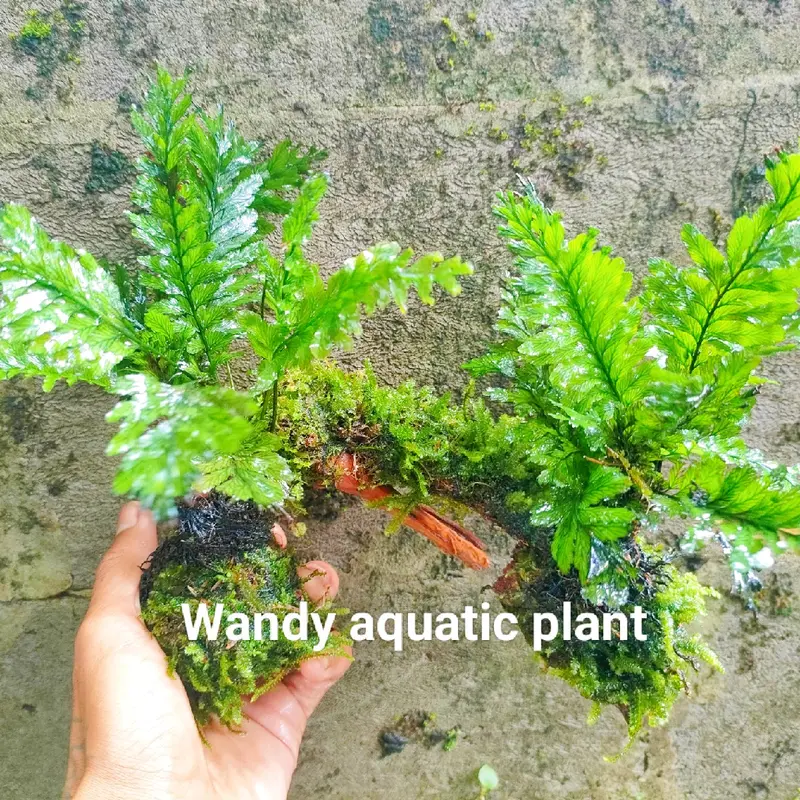 miniatur terowongan kelapa sawit sintetis aquarium 1