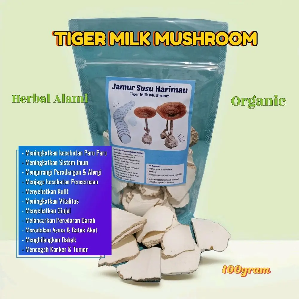 Jamur Susu Harimau / Tiger Milk Mushroom 100% Asli