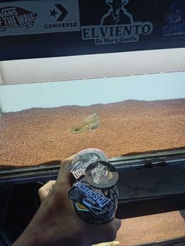Product Review of PELET KATAK 100% CALSIUM / PAKAN IKAN BY BOS BOS QU from R**" 0