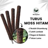 Gambar Workplant - Turus Moss Hitam Bisa Disambung Untuk Penyangga Dan Rambatan Tanaman Hias - Bagian Bawah dari workplant official Kota Surabaya 1 Tokopedia