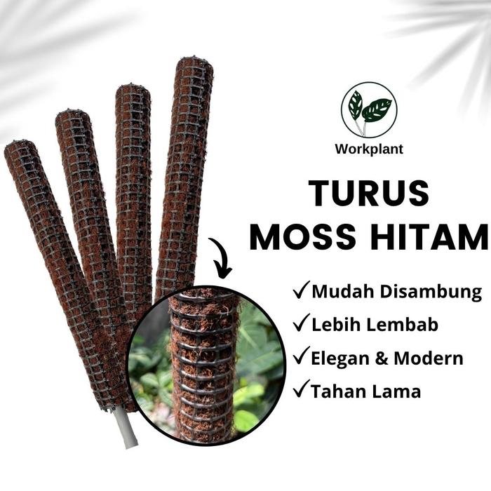 Gambar Workplant - Turus Moss Hitam Bisa Disambung Untuk Penyangga Dan Rambatan Tanaman Hias - Bagian Bawah dari workplant official Kota Surabaya Tokopedia