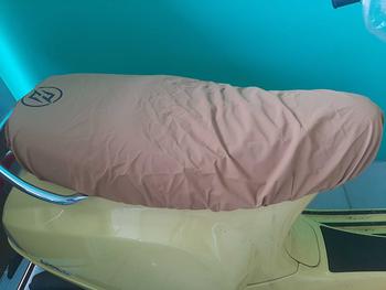 Product Review of Sarung Jok Motor Anti Cakar Kucing & Air (XL) (Vespa LX/S/3V/Sprint/Primavera) Karet Motorcycle from r**n h**n 0