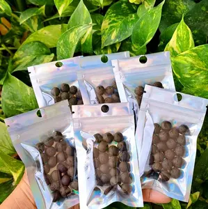 BIO ONE. , untuk ayam lumpuh, tedun, saraf otot  super ampuh