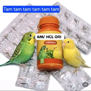 Verminus Suplemen untuk Suara Burung Tambah Kicau AM HCL ORI Produk Indonesia untuk Kualitas Suara Terbaik