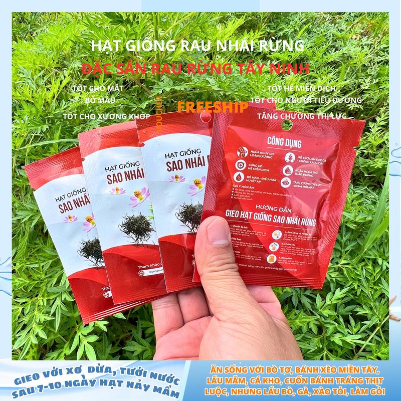 Cây giống rau sao nhái rừng, rau nhái rừng đặc sản ăn bánh tráng ...