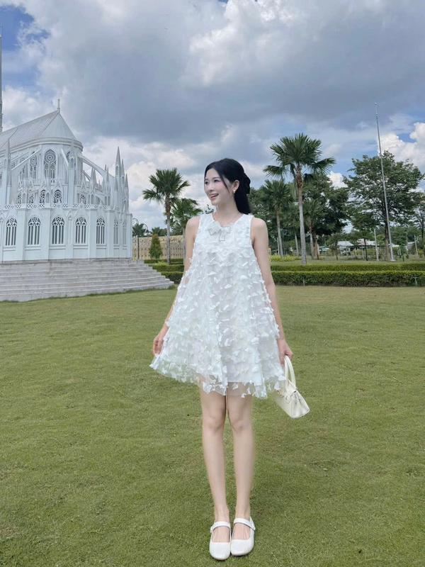 Váy đầm nữ dáng xòe baby doll đính bướm phom xòe xinh xắn thanh lịch