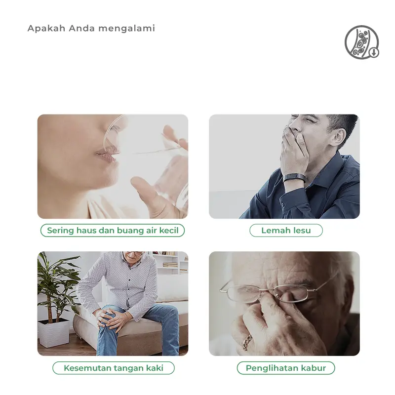 Green Bud Kapsul Herbal 2