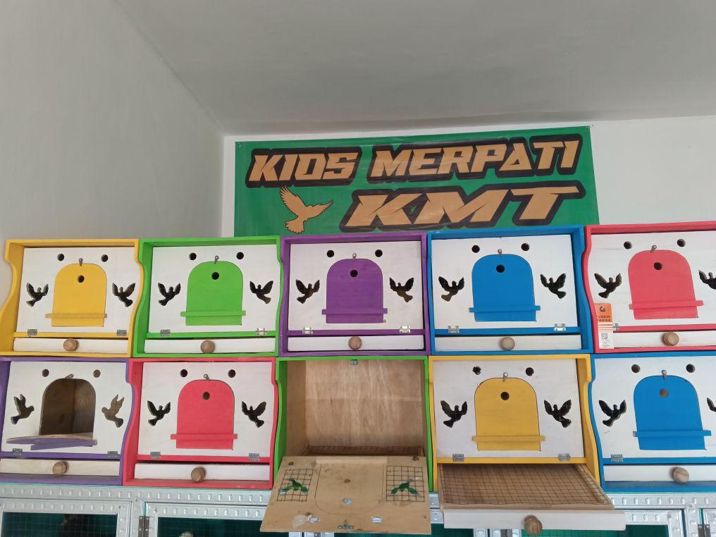 Kios Merpati KMT Kandang Gupon Merpati 2 Pintu Besar & Kecil Desain Unik Kawat Ram Triplek Serikulasi Udara Baik