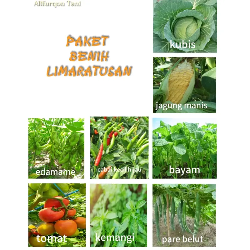 Paket benih sayuran limaratusan + pupuk NPK 0