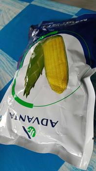 Product Review of Benih Jagung Manis MADU-59 F1 isi 250gr dari ADVANTA from m**n 0