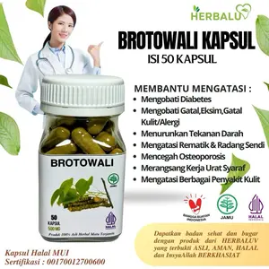 Kapsul Brotowali Untuk Mengobati Gatal Alergi