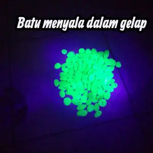 1kg batu koral menyala dalam gelap/Batu aquarium/Batu taman/Batu koral hijau/Batu kuning/Batu aquascape/Batu sikat/Batu alam
