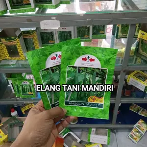 Benih Bibit Gambas Oyong Anggun Tavi F1, VIDEO PANEN Hijau Gelap Panjang Berbobot. Isi 75 Biji Kadaluarsa 2027 Terbaru - Benih Cap Panah Merah