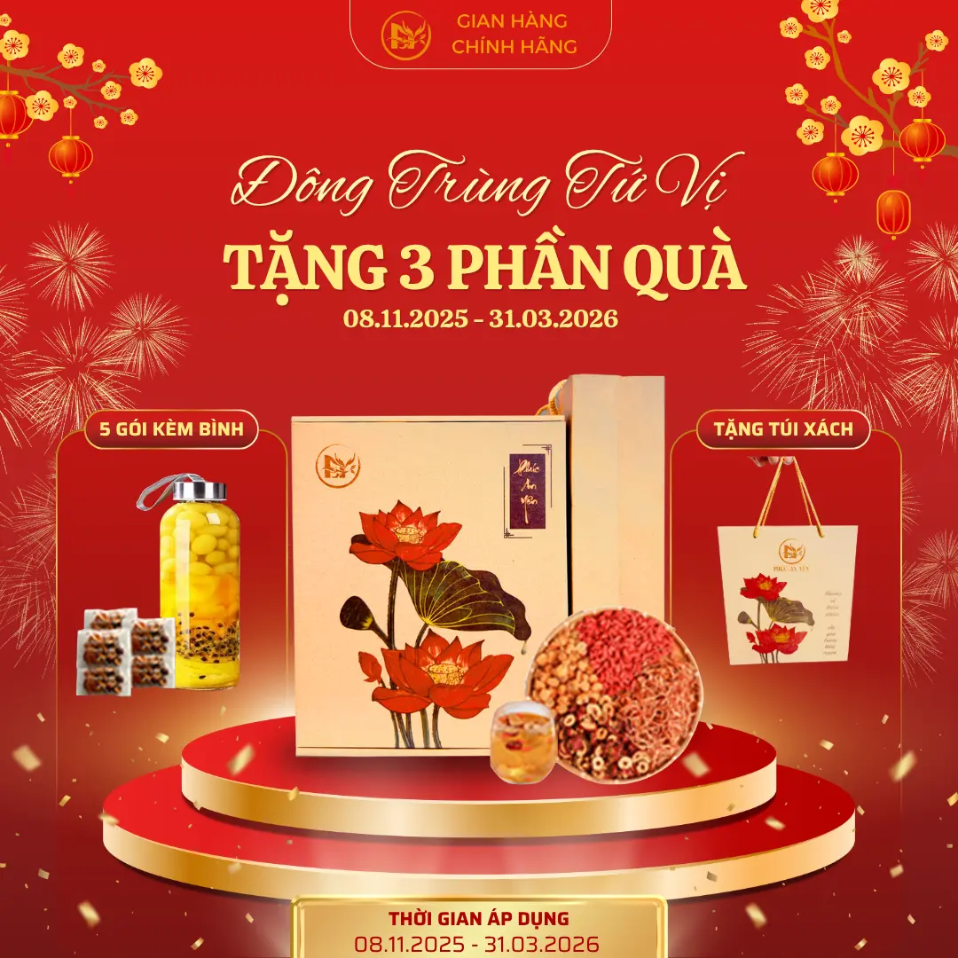 [Tặng 3 Phần Quà] Mua Hộp 30 gói Trà Đông Trùng Tứ vị Tặng Túi Xách Kèm 5 gói, Tặng Bình thủy tinh, Nguyên Liệu Hữu Cơ Sấy Lạnh Táo Đỏ, Kỷ Tử, Nấm Đông Trùng, Long Nhãn ... Tea Nước Trà Chè