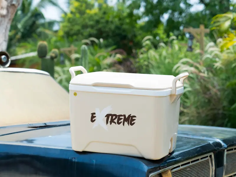 Thùng đá 45 DUY TÂN nhựa PP, công nghệ PU foam, giữ lạnh đến 48 giờ, an toàn vệ sinh thực phẩm Bag Đồng 7