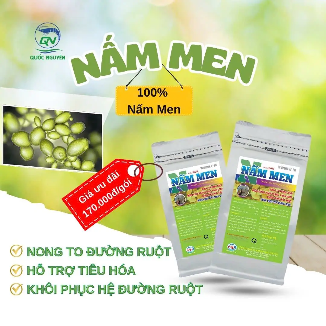 NẤM MEN - NONG TO ĐƯỜNG RUỘT, NGỪA PHÂN TRẮNG (DÙNG ĐƯỢC VỚI KHÁNG SINH)