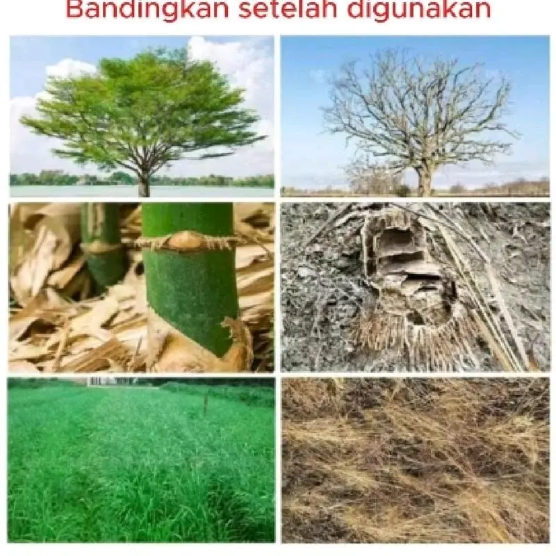 Tree Killer Hexazione Pembasmi Bambu Pohon Rumput Liar Gulma 3