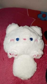 Product Review of Plushie Keyring Doll Enhypen from K** 1