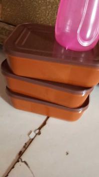 Product Review of 3 pcs tepak GL wadah tempat wadah nasi bekal sekat 2 GL anak sekolah bekal karyawan kantor from b**🌺 0