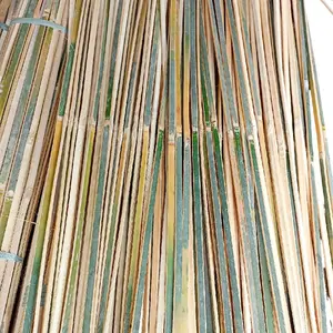 10 Batang Bambu Bilah 120cm Bahan Layangan Dan Turus Tanaman