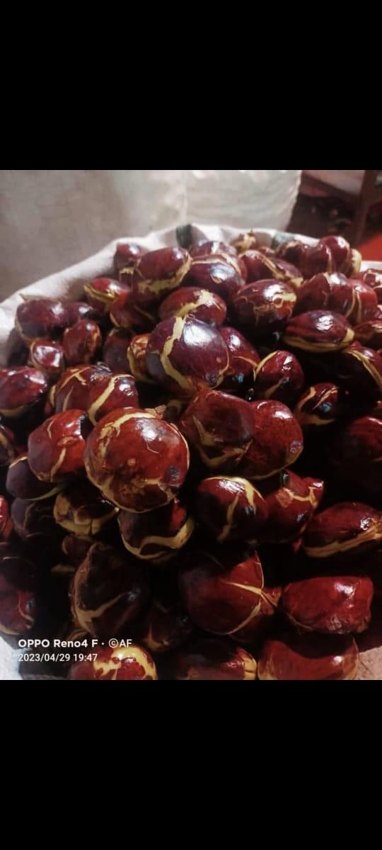 Product Introduction of Timbangan isi jengkol 1kg segar dan fres Masakan Makanan Kering Kitchenware buah kering asam potong medan Snack Food 5