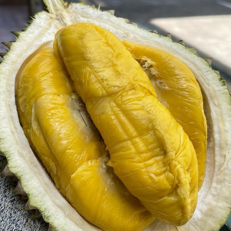 PWP | Popsicle | Same Day Delivery | Pahang Musang King Old Tree | 400g per box 1