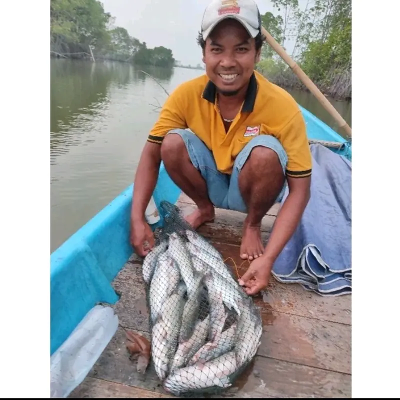 Umpan Belanak Siap Pakai + Rangkaian dan Pelampung PAKET HEMAT! 4