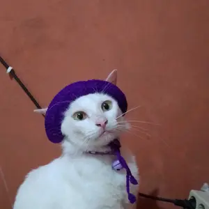 Topi kucing rajut polos murah topi pororo topi anjing rajut