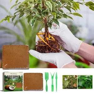 Reptile Coconut Soil Coir Pressed Coconut Fiber Substrate Lizard Tortoise Reptile Bedding Soil Reptile Terrarium Bottom Supplies - B