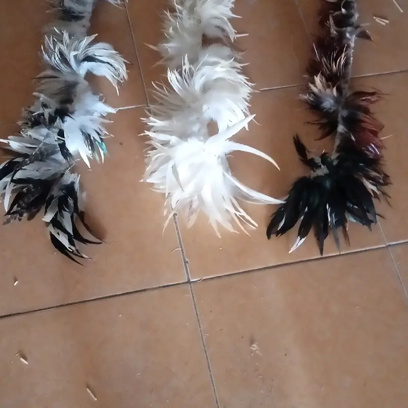 bulu ayam asli harga permeter. 3
