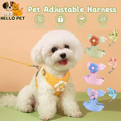 Dây Đai Nịt Thú Cưng, Thiết Kế Hoa, Dành Cho Chó Mèo, Với Dây Xích, Áo Vest Thoáng Khí, Thích Hợp Cho Thú Cưng, Hàng Mới Về