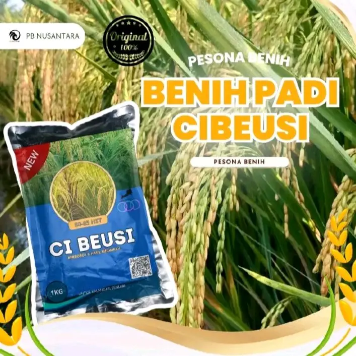 PADI UNGGUL CIBESI 1KG BERKUALITAS PREMIUM