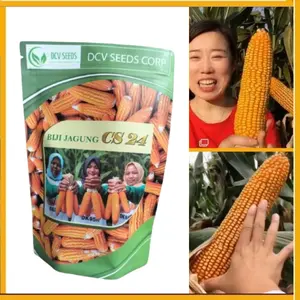 [Beli 3 gratis 1]- Benih Jagung Raksasa Jepang