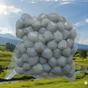 ISI 150PCS. Paket usaha ada banyak varian isi. Abon, ayam suir pedas, gaji, gaji pedas, ati ampela pedas