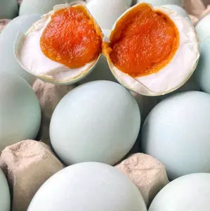 TELUR ASIN MASIR BERMINYAK ISI 10 BUTIR SUDAH MATANG SIAP SANTAP Balut Telor