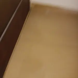 ( PAKET HEMAT 5 BOX KINOKI 50 PADS ) KINOKI GOLD DETOX KOYO KAKI ASLI HERBAL ORIGINAL Foot Ginger Hand Patch