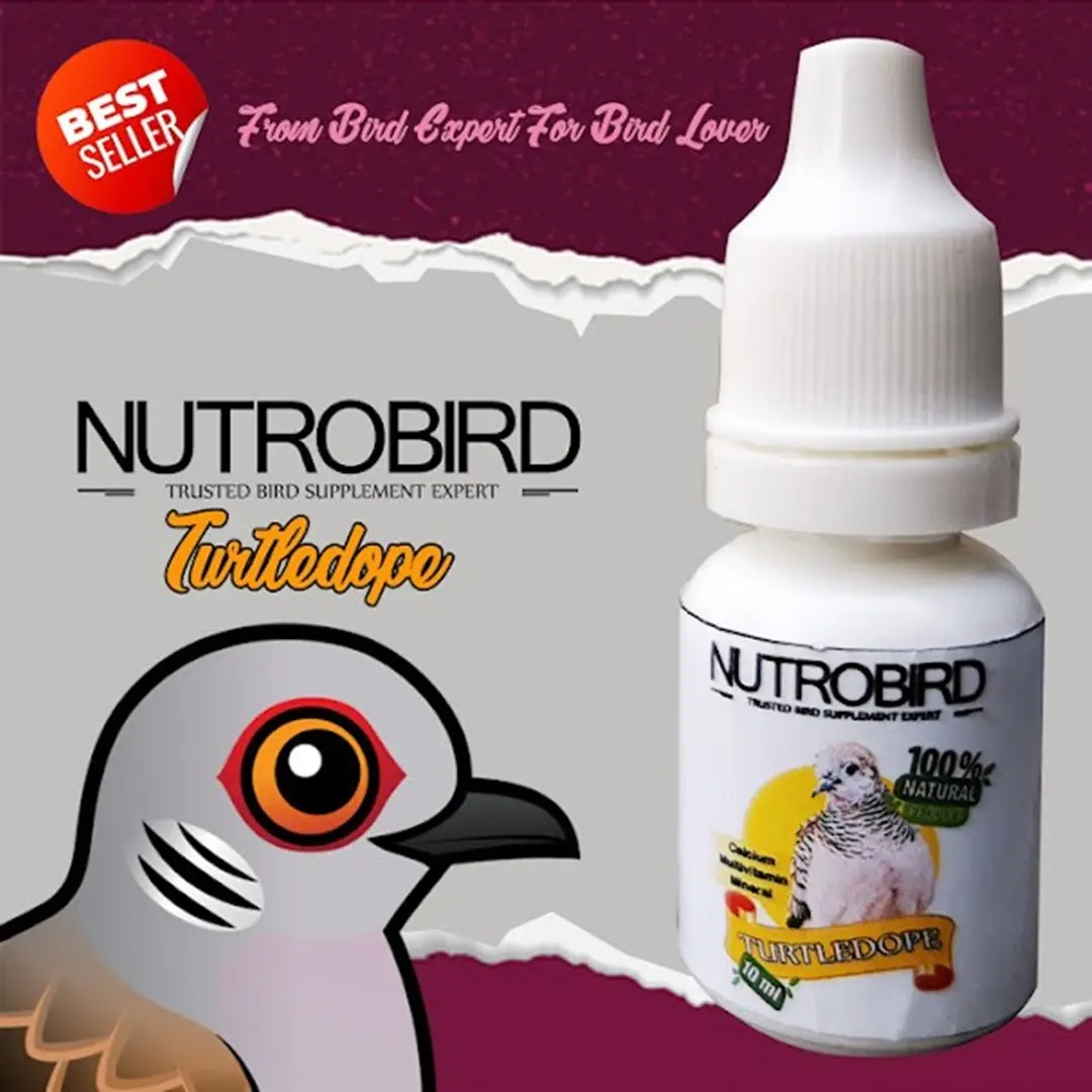 SUPPLEMENT VITAMIN BURUNG PERKUTUT KONTES GACOR NUTROBIRD ORIGINAL