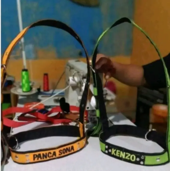 BRANGUS SAPI/BRANGUS BANTENGAN