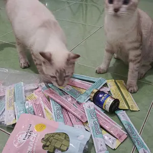 Pawsitive Vibes Snack Kucing Makanan Kucing Basah Bergizi Paket Cemilan Daging Kaya Nutrisi untuk Nafsu Makan Lebih Baik