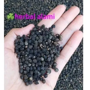 Buah Angkung Kering 200 biji bonus 30 biji herbal alamali