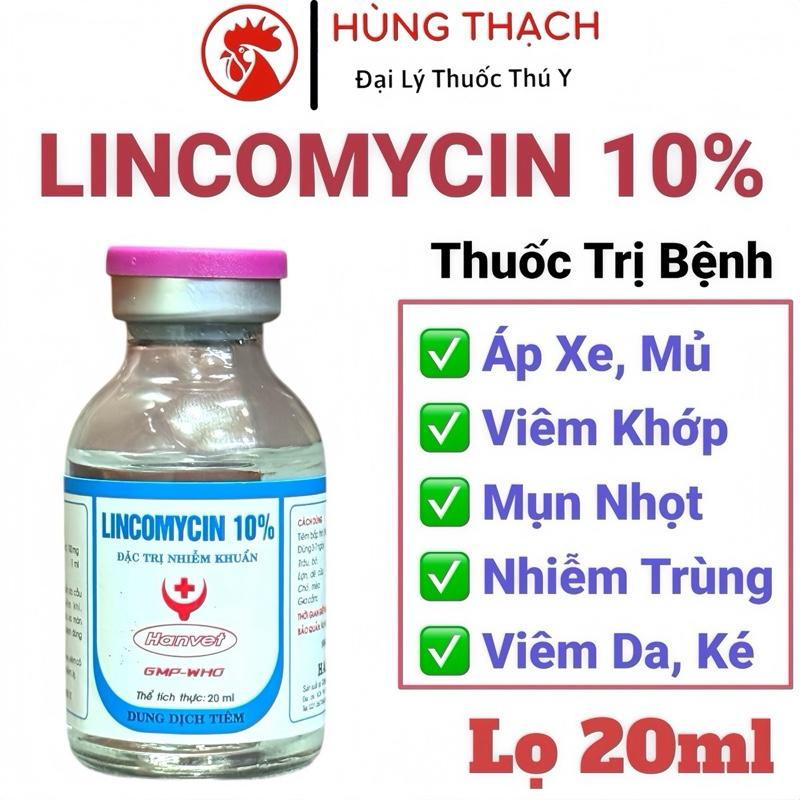 Lincomycin 10% 20ml tiêm trị viêm khớp áp xe mụn nhọt ké chậu sưng khớp viêm da nhiễm trùng vết thương trên gà đá chó mèo