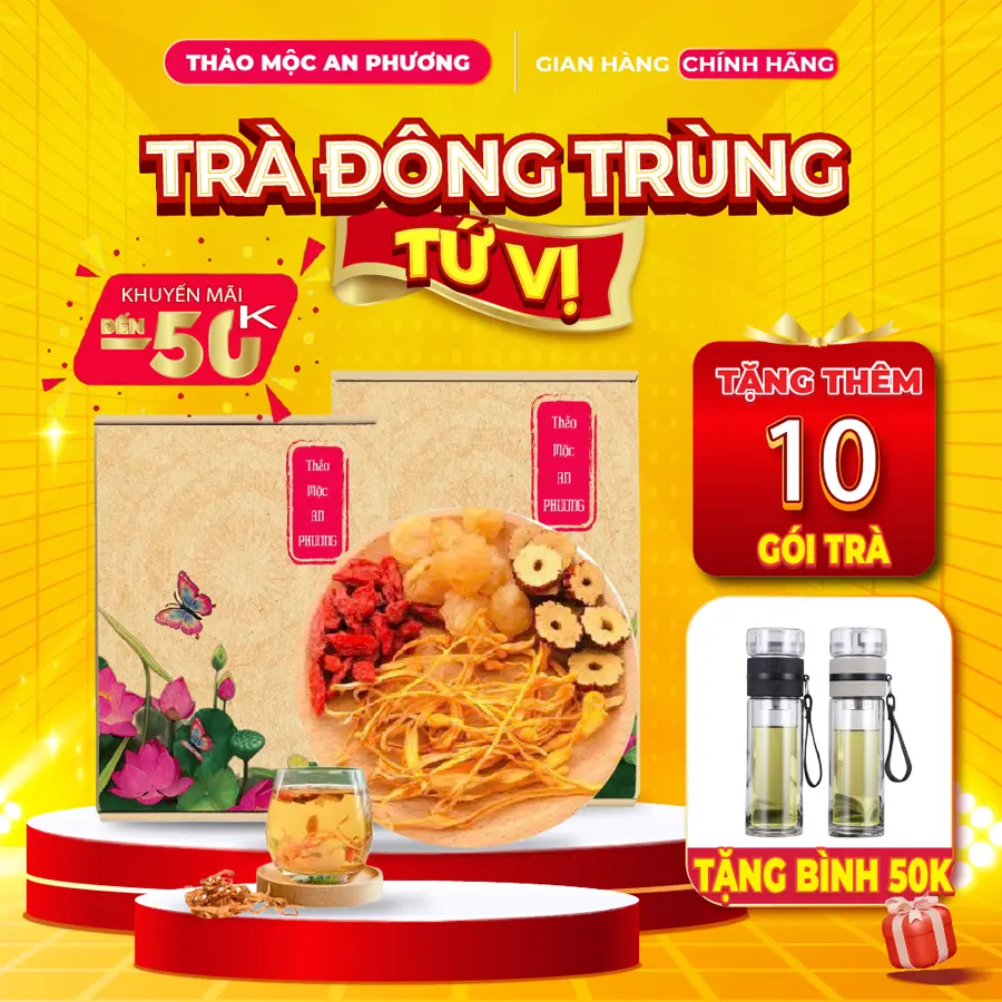 [TẶNG BÌNH 50K + 10 GÓI] Mua Hộp 30 Gói Trà Đông Trùng Tứ Vị  Tặng Thêm Bình Pha Trà 2 Ngăn Cao Cấp + Tặng Thêm 10 Gói Lẻ