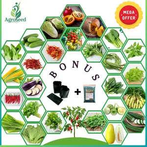 25 PAKET TERLENGKAP Jenis Benih Super Tanaman/Sayuran Lengkap Bibit Unggul Cepat Tumbuh Benih Seribuan termurah