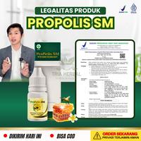 Gambar Herbal Sinusitis, Radang Sinus, Pilek Menahun, Infeksi Sinus, Polip Hidung, Hidung Bau, Benjolan Didalam Hidung, Penghilang Sinusitis Anak dan Dewasa - PROPOLIS SM Perawatan Hidung dari Tria Herbal Store Kota Administrasi Jakarta Barat 4 Tokopedia
