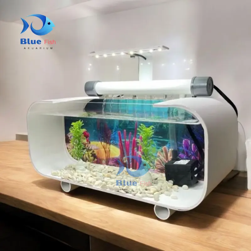 Aquarium minimalis full set lengkap Akuarium akrilik lengkap dengan mesin pompa filter sirkulasi dan lampu aquarium (P-002) 3