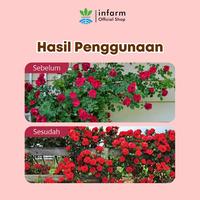 Gambar INFARM - Pupuk Organik Cair Bunga 500ml, Anti Rontok dan Merangsang Bunga Lebih Mekar dari Infarm Kota Surabaya 5 Tokopedia