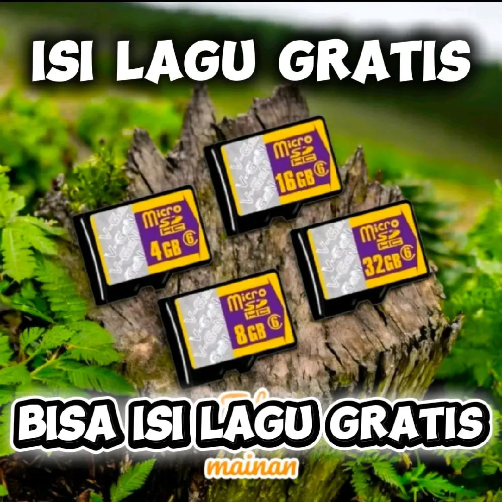 Micro SD Card 4GB/8GB/16GB/32GB Bisa Isi Lagu Gratis & Request Lagu Merek Random Cocok untuk Anak-anak sebagai Mainan Musik