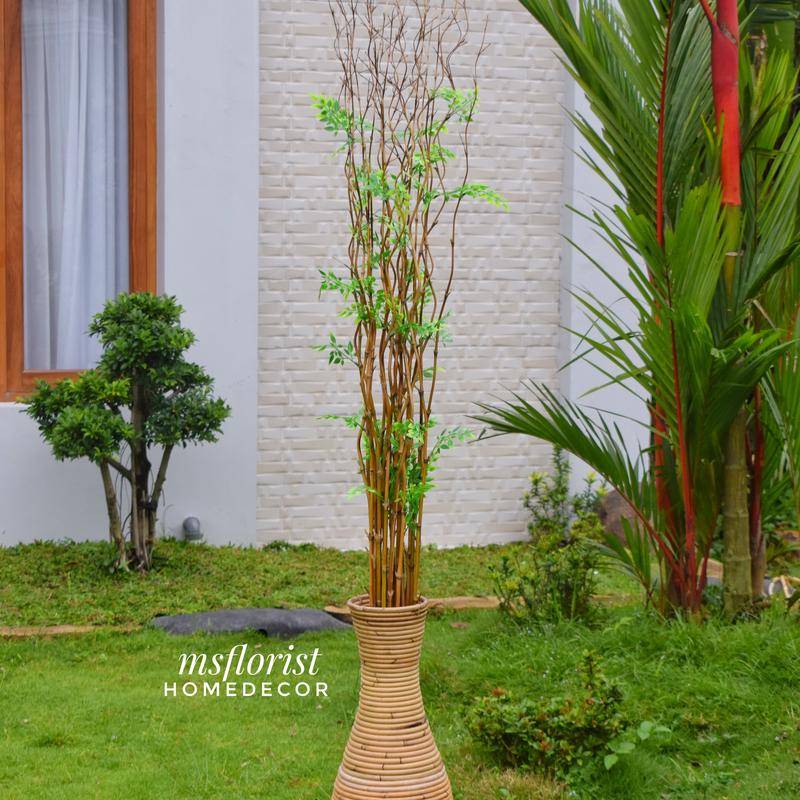 10 Btg Bambu Ulir Cendani Daun Cordelia 142 cm Tanpa Pot - Dekorasi Shabby Warna Natural 4